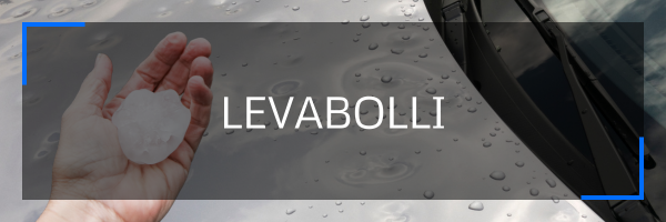 serv levabolli
